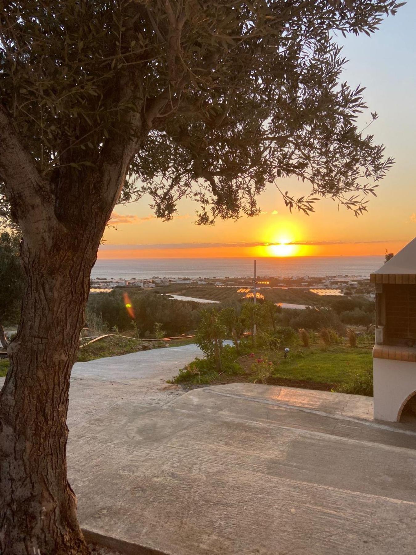 Casa Di Olive, All Seasons Accommodation Goudhouros المظهر الخارجي الصورة